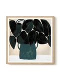 Marco Marella - Plant II