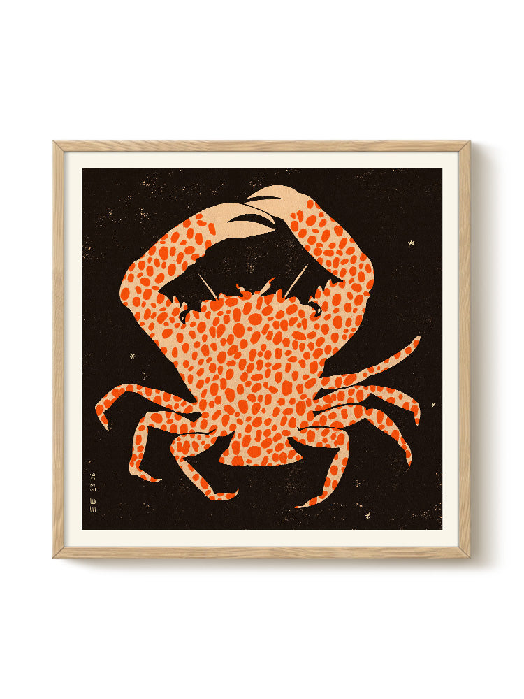 Enikő Katalin Eged - Spotted Calico Crab